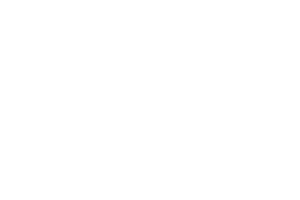 GRAVITAS